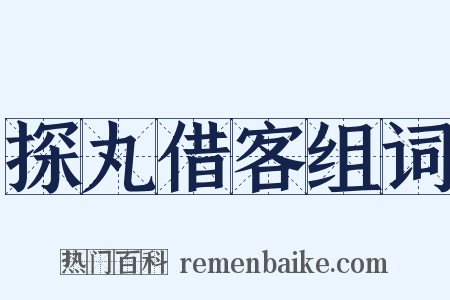 探丸借客组词是什么意思的图片